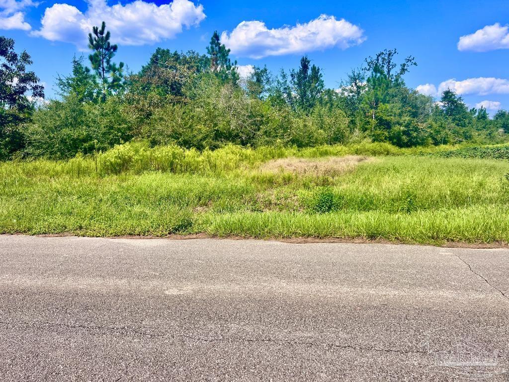 Lot 9 Sid Hayes Road Jay, FL 32565 - Photo 8 of 17