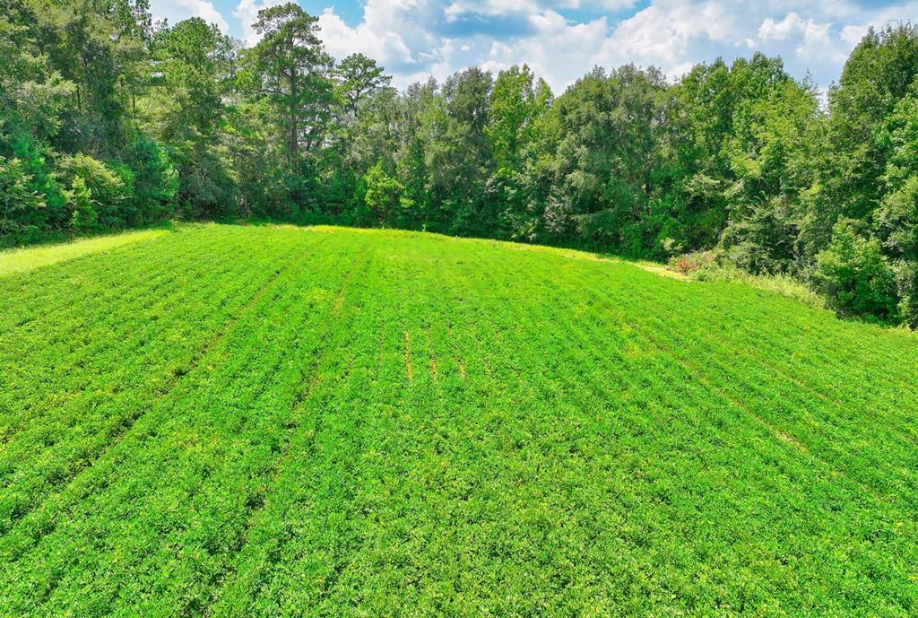 2501 Stringer Road Thomasville, GA 31792 - Photo 80 of 91 Gallery Image 80