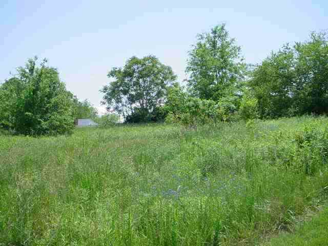 Lot 16 Garnet Valley Subd, Unit 362 GARNET VALLEY DR Inman, SC 29349 - Photo 3 of 9