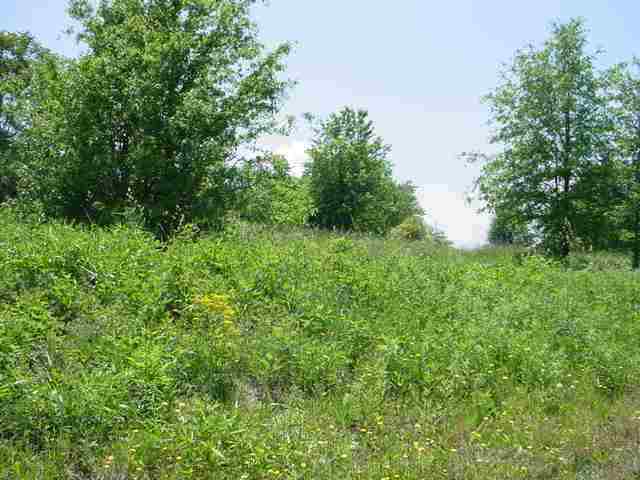 Lot 16 Garnet Valley Subd, Unit 362 GARNET VALLEY DR Inman, SC 29349 - Photo 6 of 9