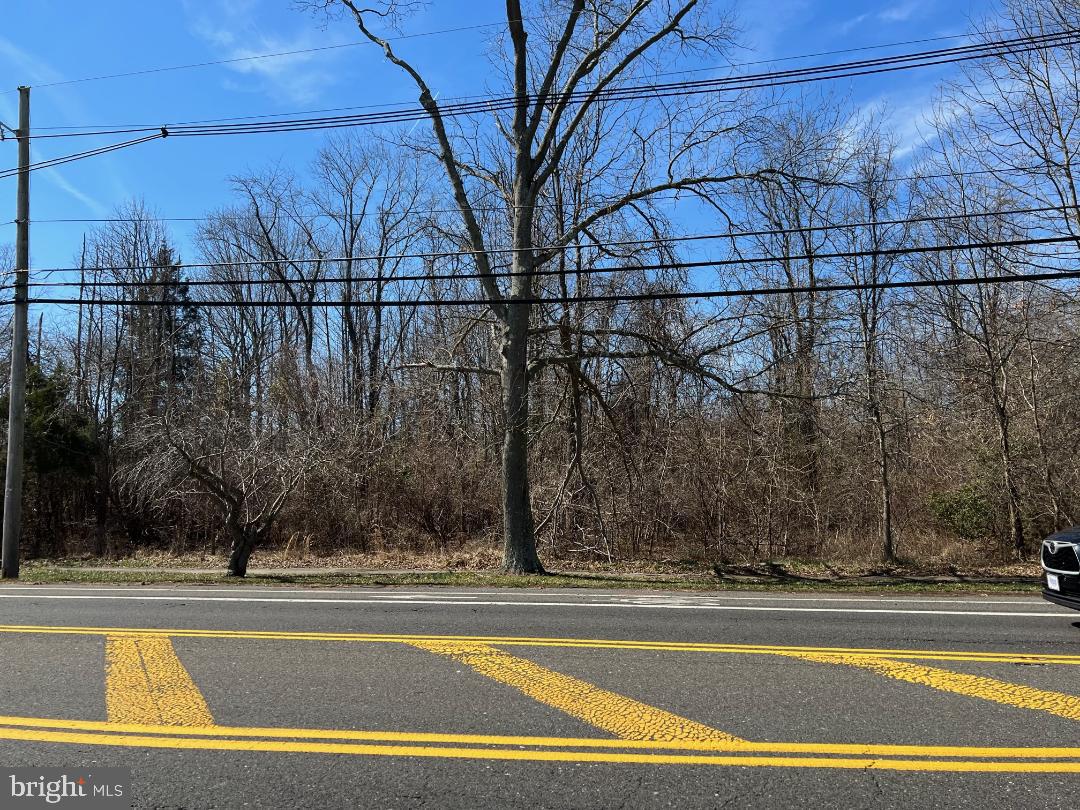 328 Stokes Road Medford, NJ 08055 - Photo 4 of 7 a view of a yard and a car parked on the road