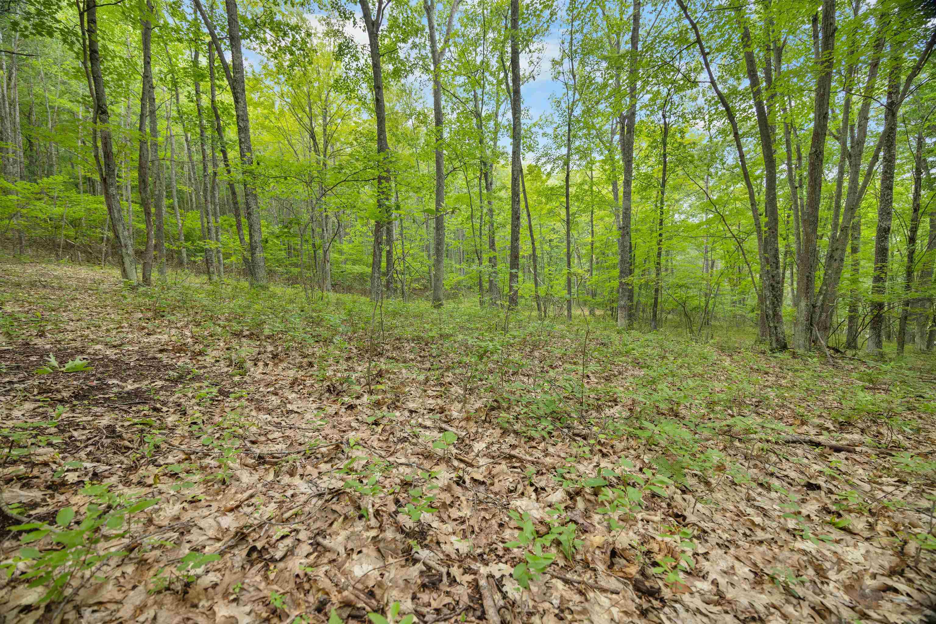 W8108 Kafka Road Wausaukee, WI 54177 - Photo 38 of 52 Gallery Image 38