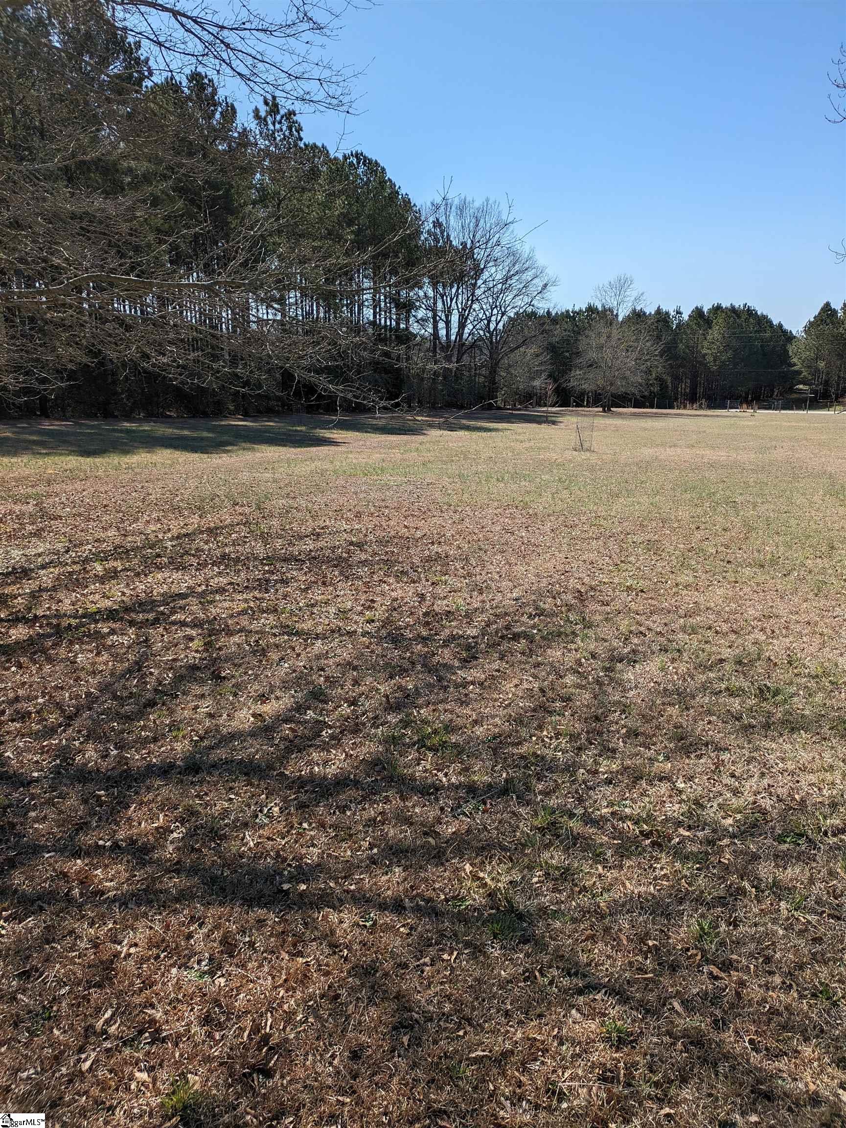 384 State Rd S-30-77 Gray Court, SC 29645 - Photo 3 of 3