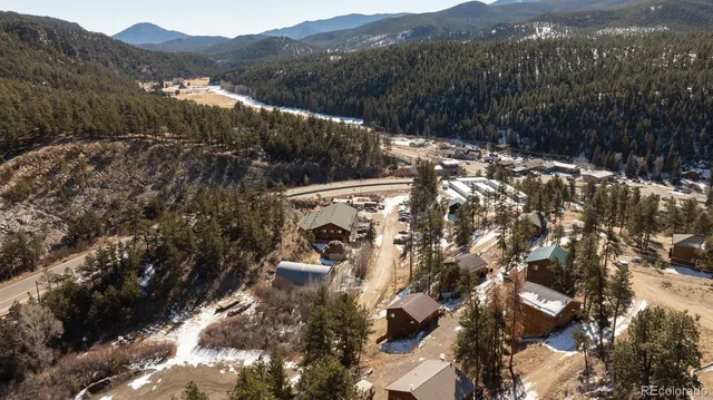 a view of a forest with a mountain