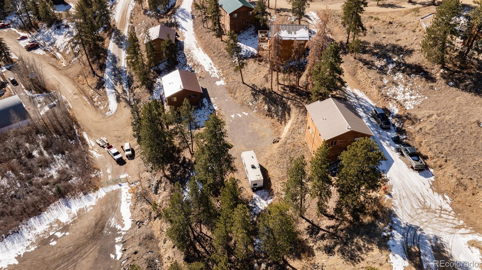206 Virginia Road Bailey, CO 80421 - Photo 7 of 9 a view of a tree in a yard
