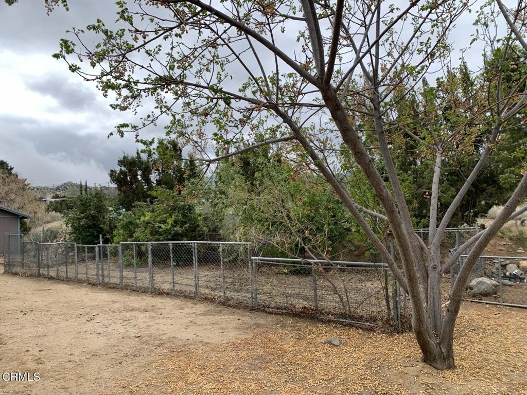 9020 Pionero Road Pinon Hills, CA 92372 - Photo 49 of 71 3