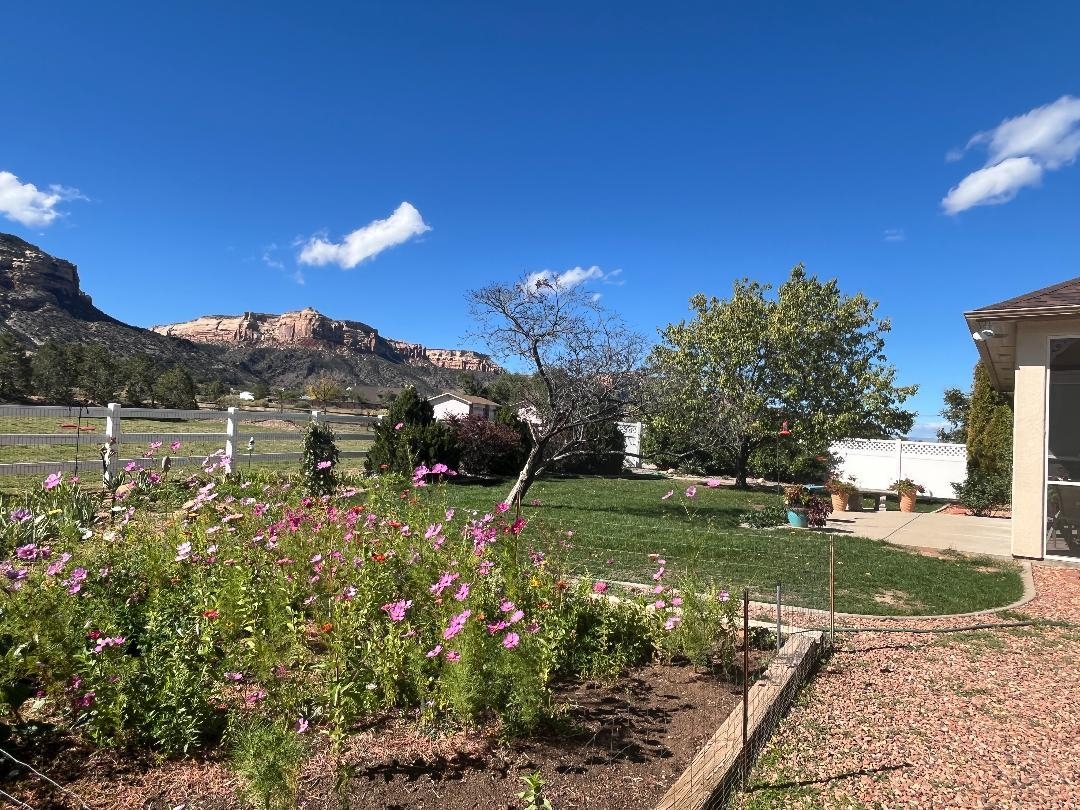 2297 Shiprock Road Grand Junction, CO 81507 - Photo 4 of 12 a view of a garden with an tree