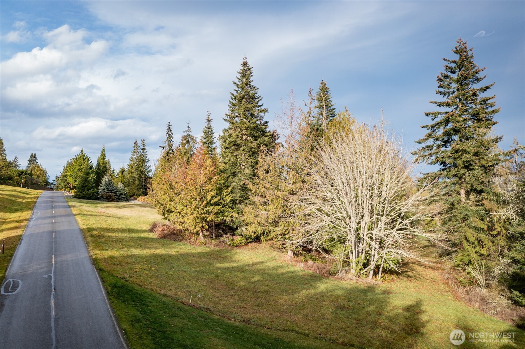 0 Elk Pass Road Sequim, WA 98382 - Photo 17 of 20 a view of a yard with an outdoor space