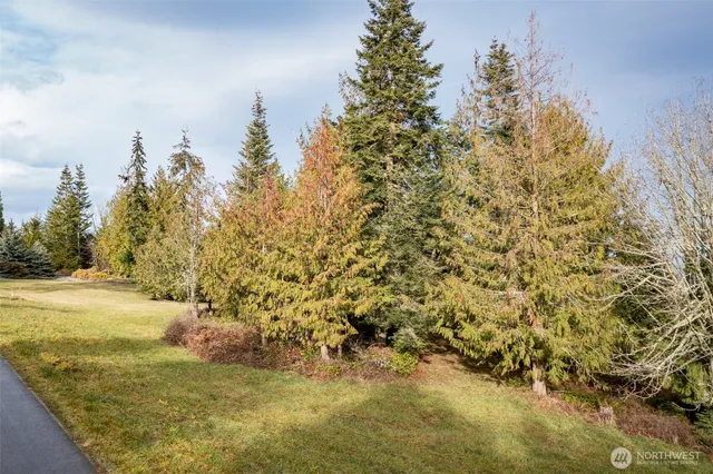 $160,000 | 0 Elk Pass Road, Sequim, WA 98382