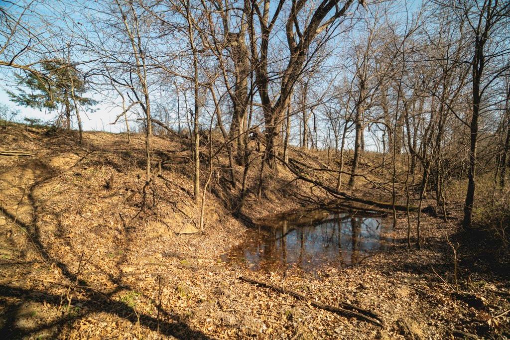 0 155th Street Fort Scott, KS 66701 - Photo 20 of 40