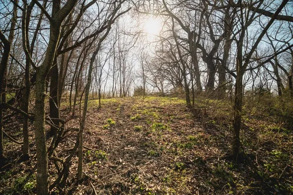 $196,922 | 0 155th Street, Fort Scott, KS 66701