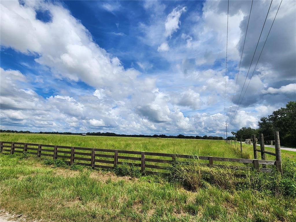 9022 Gough Road Ona, FL 33865 - Photo 9 of 12 a view of a field with an trees in the background