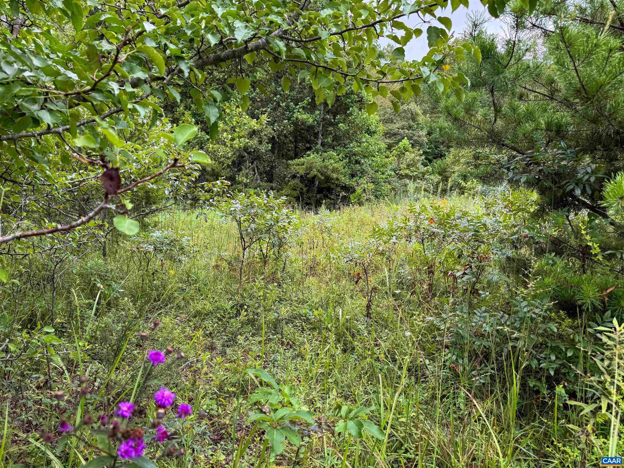 Tba Old Green Mountain Road, Unit 500 Esmont, VA 22937 - Photo 17 of 33