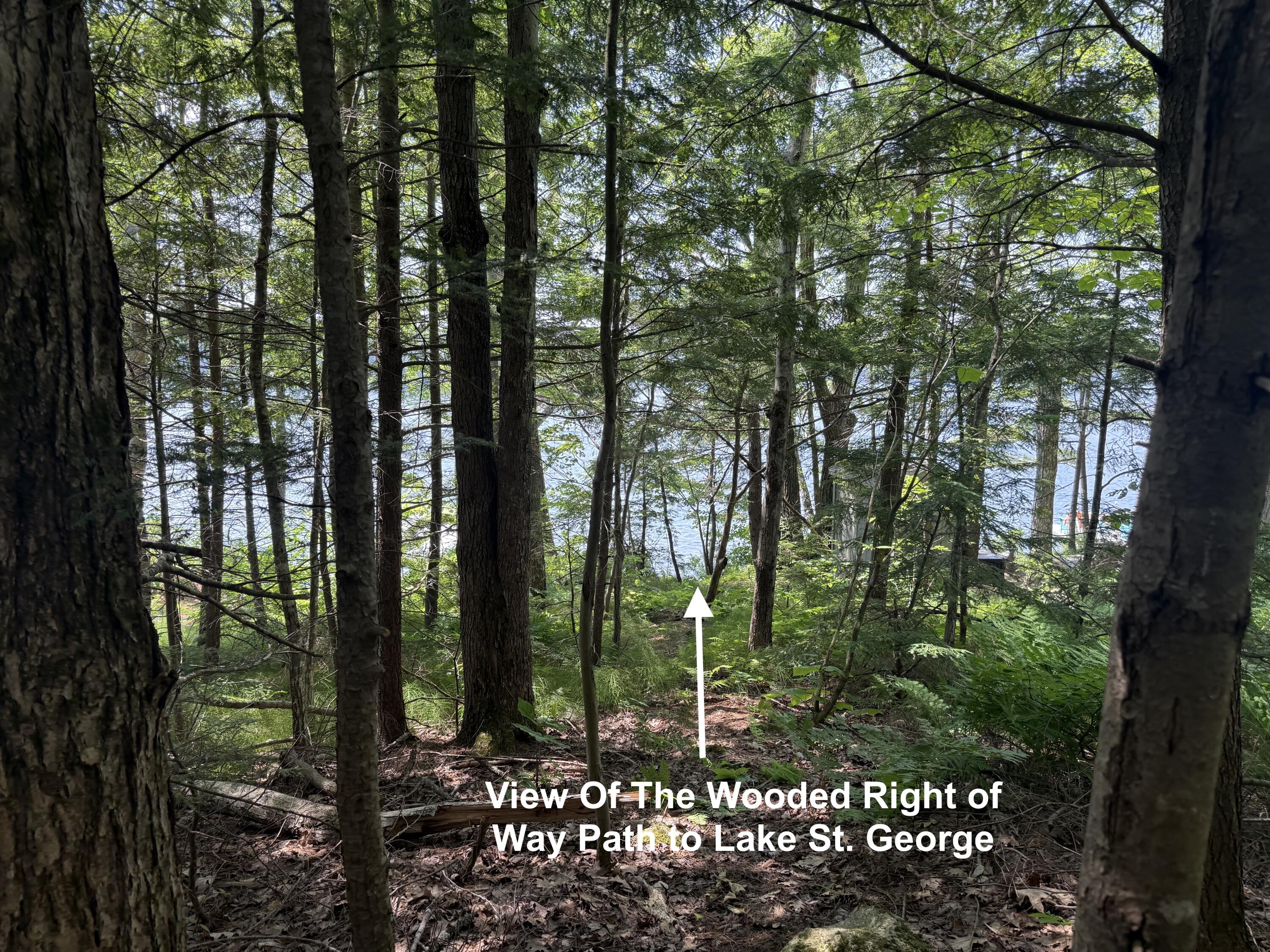 Lot 8 Moody Shores Road Liberty, ME 04949 - Photo 2 of 6 IMG_5721