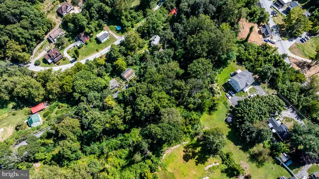 a view of a plant in a garden
