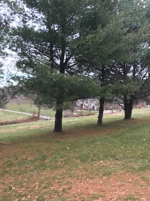 655 Waterdam Road Canonsburg, PA 15317 - Photo 7 of 25 Pine trees on the property with view of the neighborhood.
