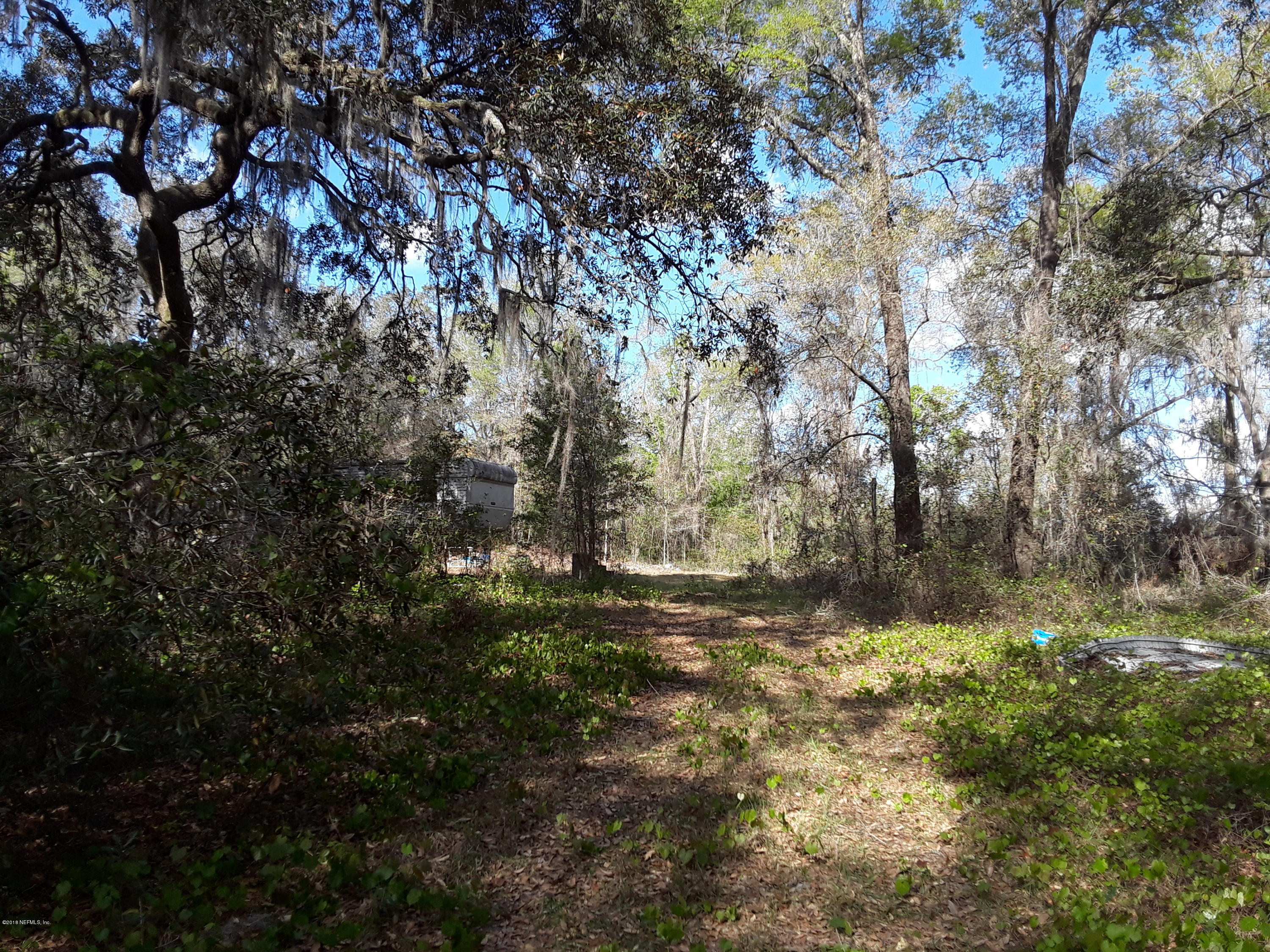 114 Ranchette Lane Florahome, FL 32140 - Photo 1 of 9 Driveway