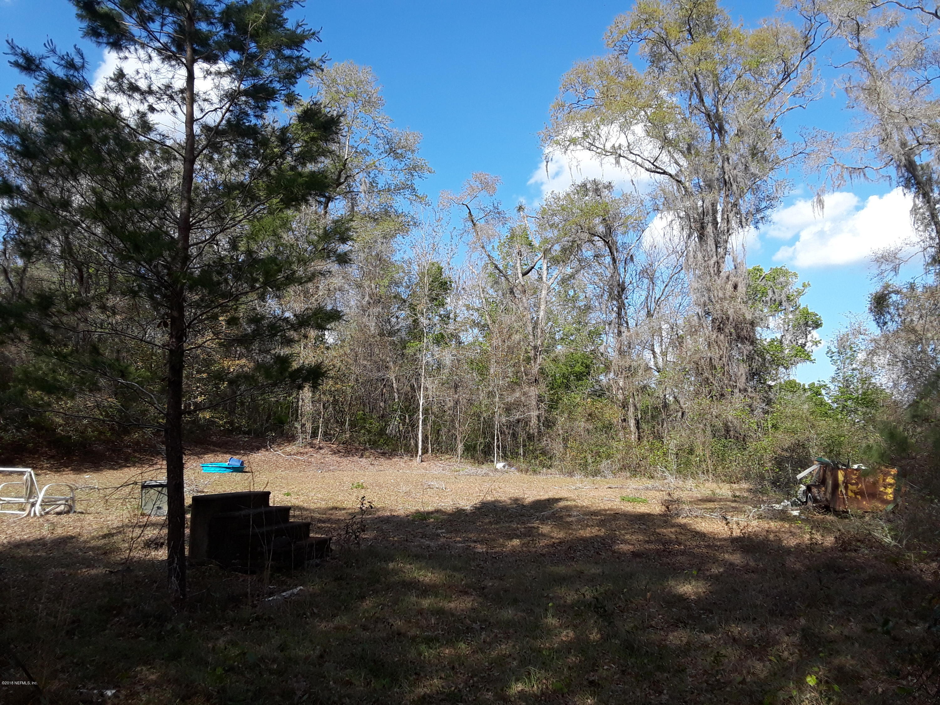 114 Ranchette Lane Florahome, FL 32140 - Photo 2 of 9 cleared homesite