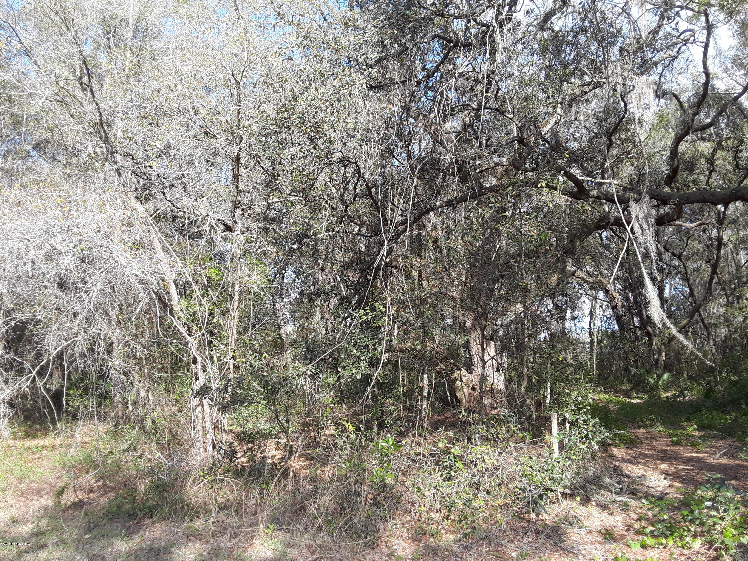 114 Ranchette Lane Florahome, FL 32140 - Photo 4 of 9 wooded area