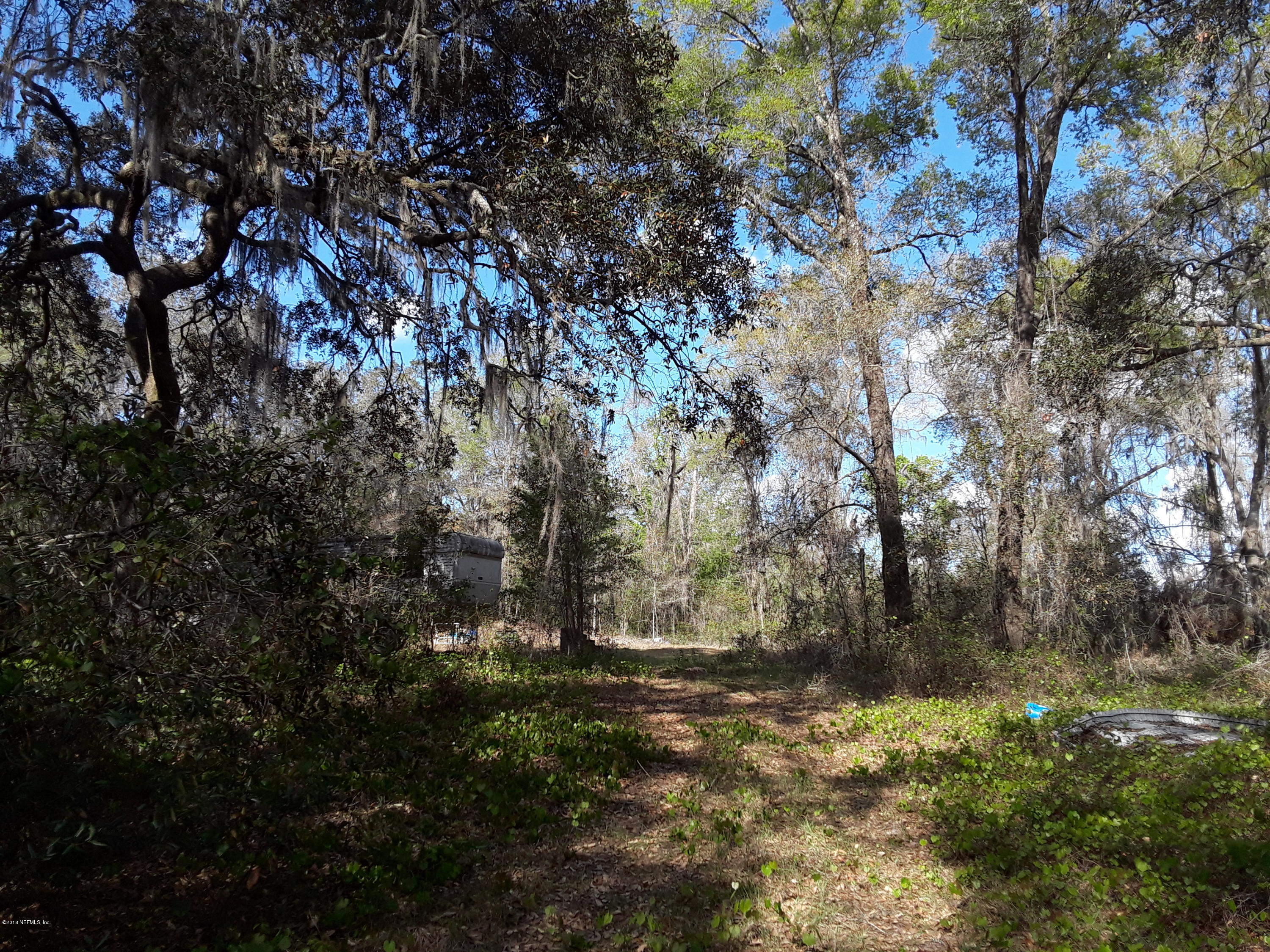 114 Ranchette Lane Florahome, FL 32140 - Photo 9 of 9 20180318_165915