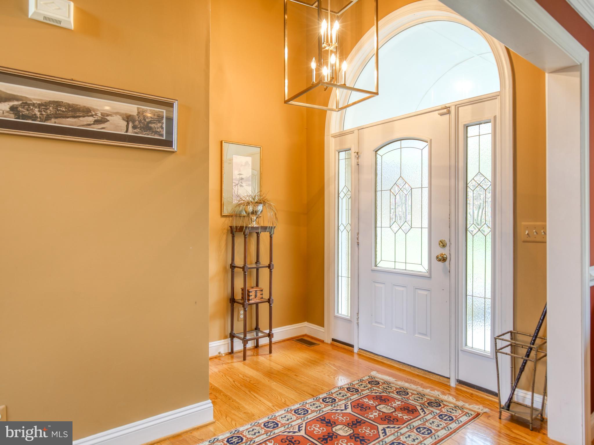 249 McGuire Road Winchester, VA 22603 - Photo 15 of 54 Bright entrance foyer