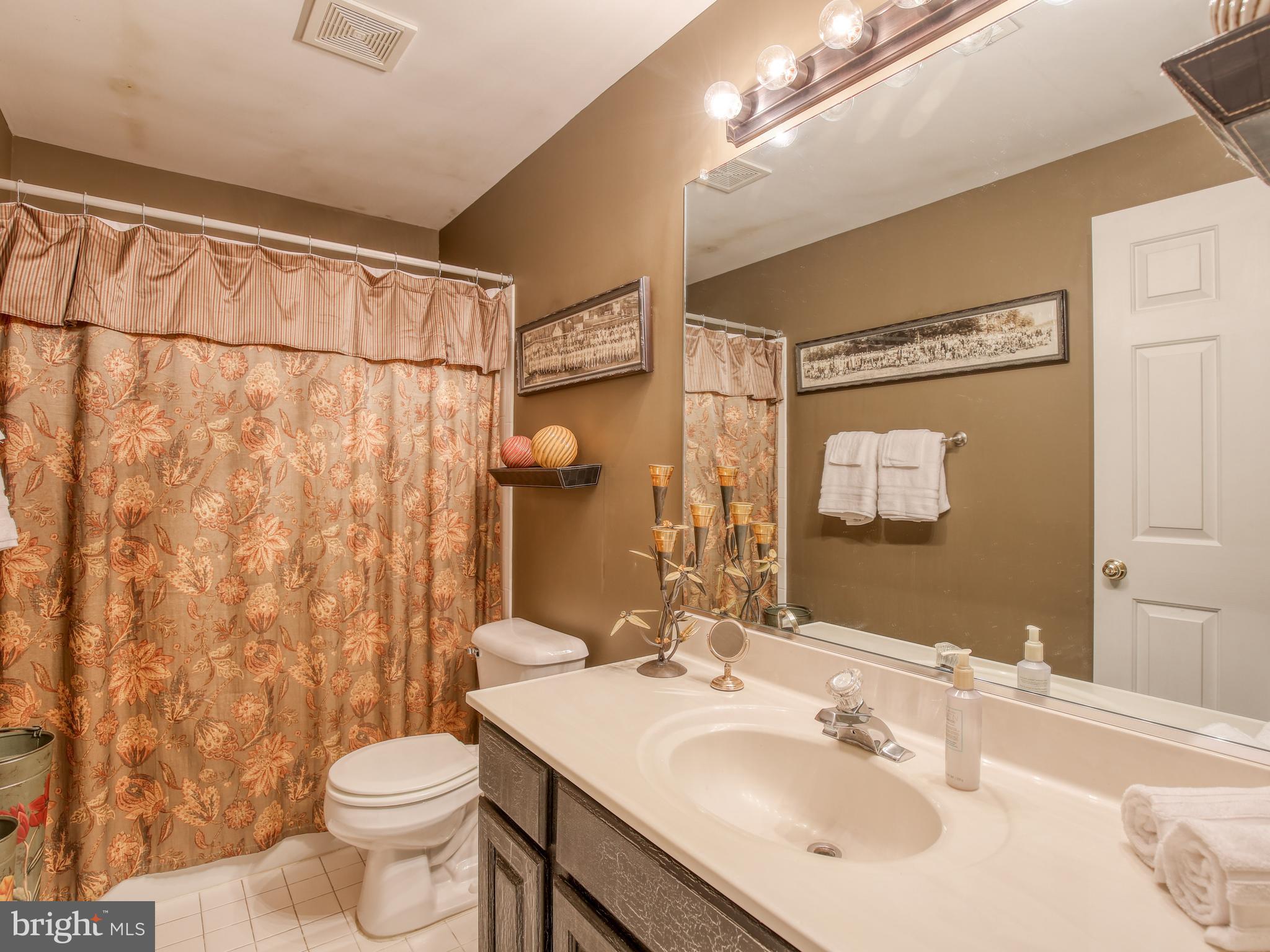 249 McGuire Road Winchester, VA 22603 - Photo 50 of 54 Lower level full bath