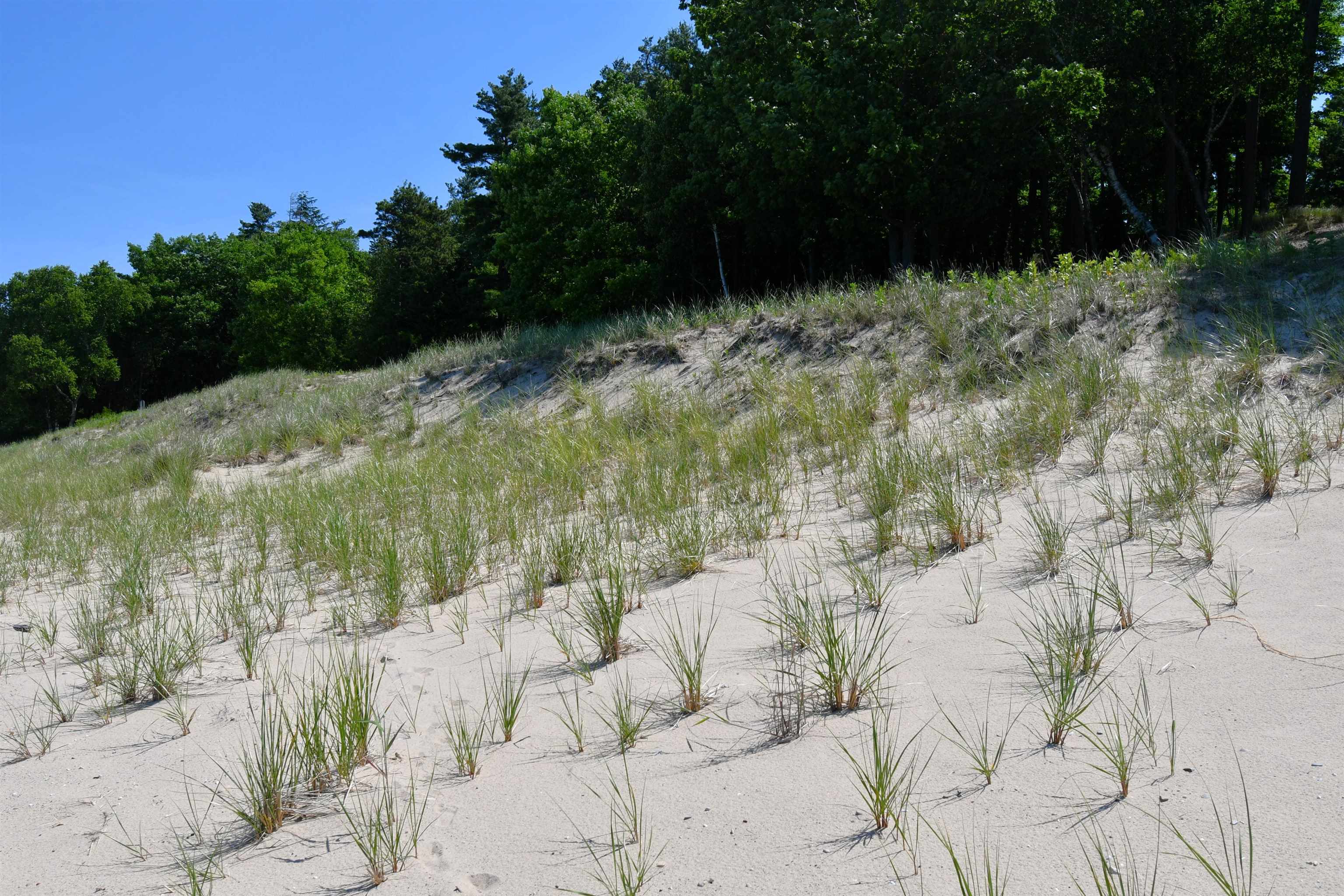 0 Mt McSauba Road Charlevoix, MI 49720 - Photo 26 of 33