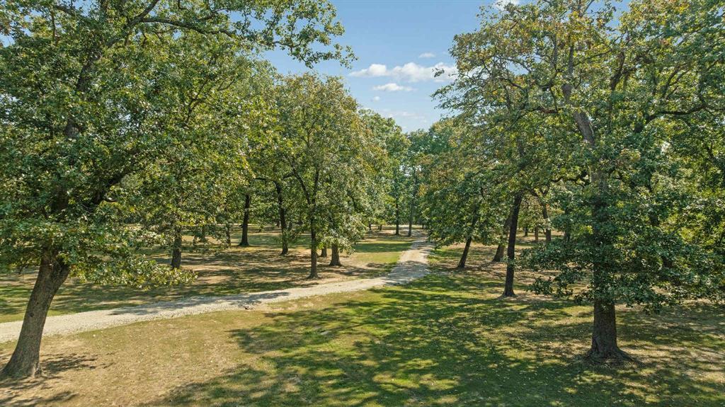 2205 County Road Blossom, TX 75416 - Photo 3 of 27 Surrounding community