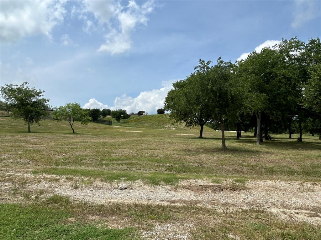 1008 Bear Creek Ranch Aledo, TX 76008 - Photo 3 of 9 a view of a yard with a tree