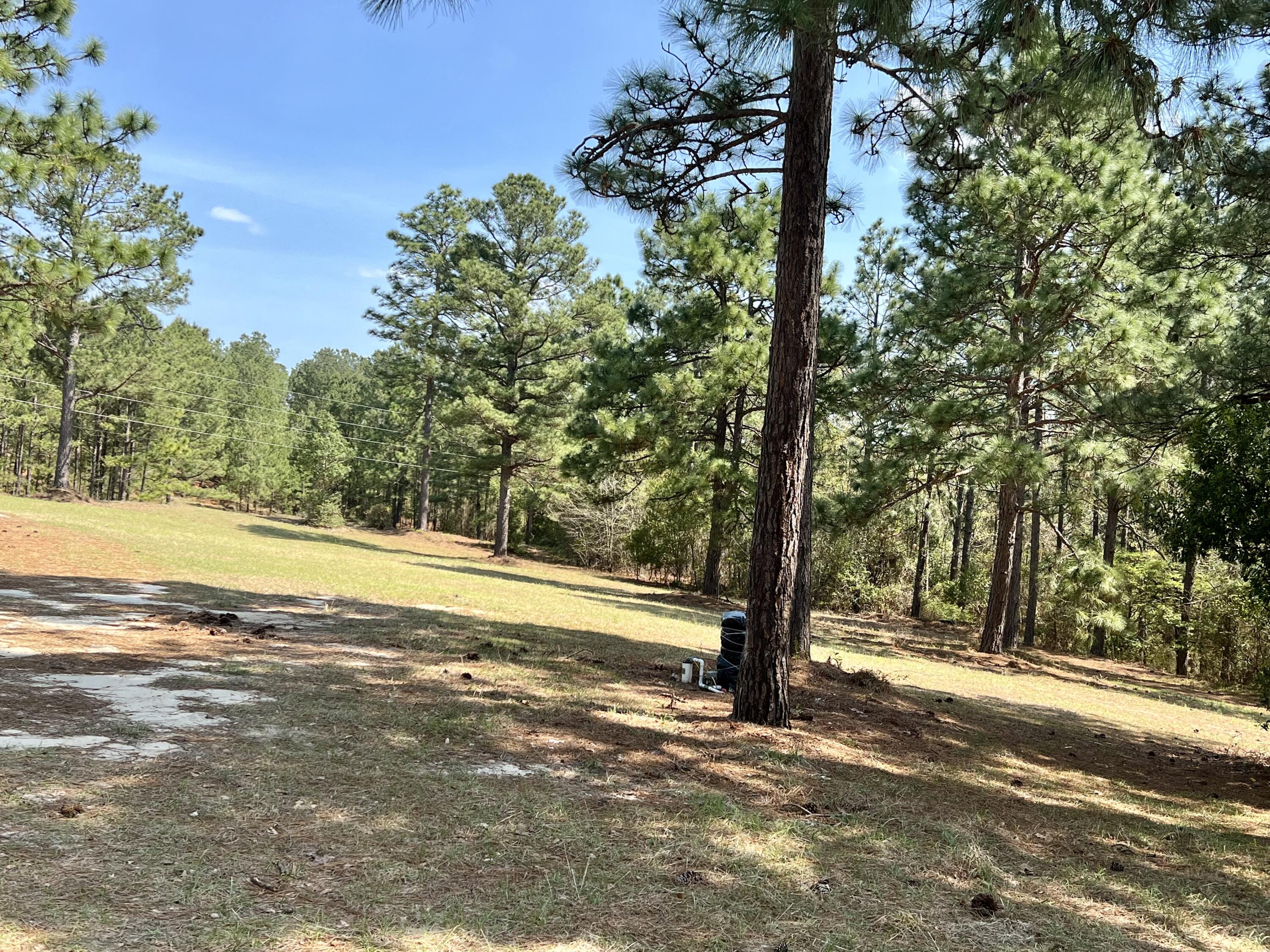 407 Old Bell Road Aiken, SC 29801 - Photo 2 of 23