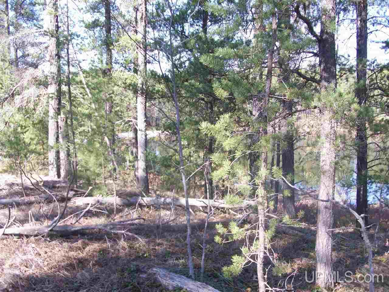 Tbd Off Eg Road Gwinn, MI 49841 - Photo 3 of 11