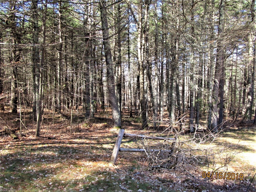 446 Austin Farm Road Exeter, RI 02822 - Photo 39 of 40 PRIVATE WOOD LAND