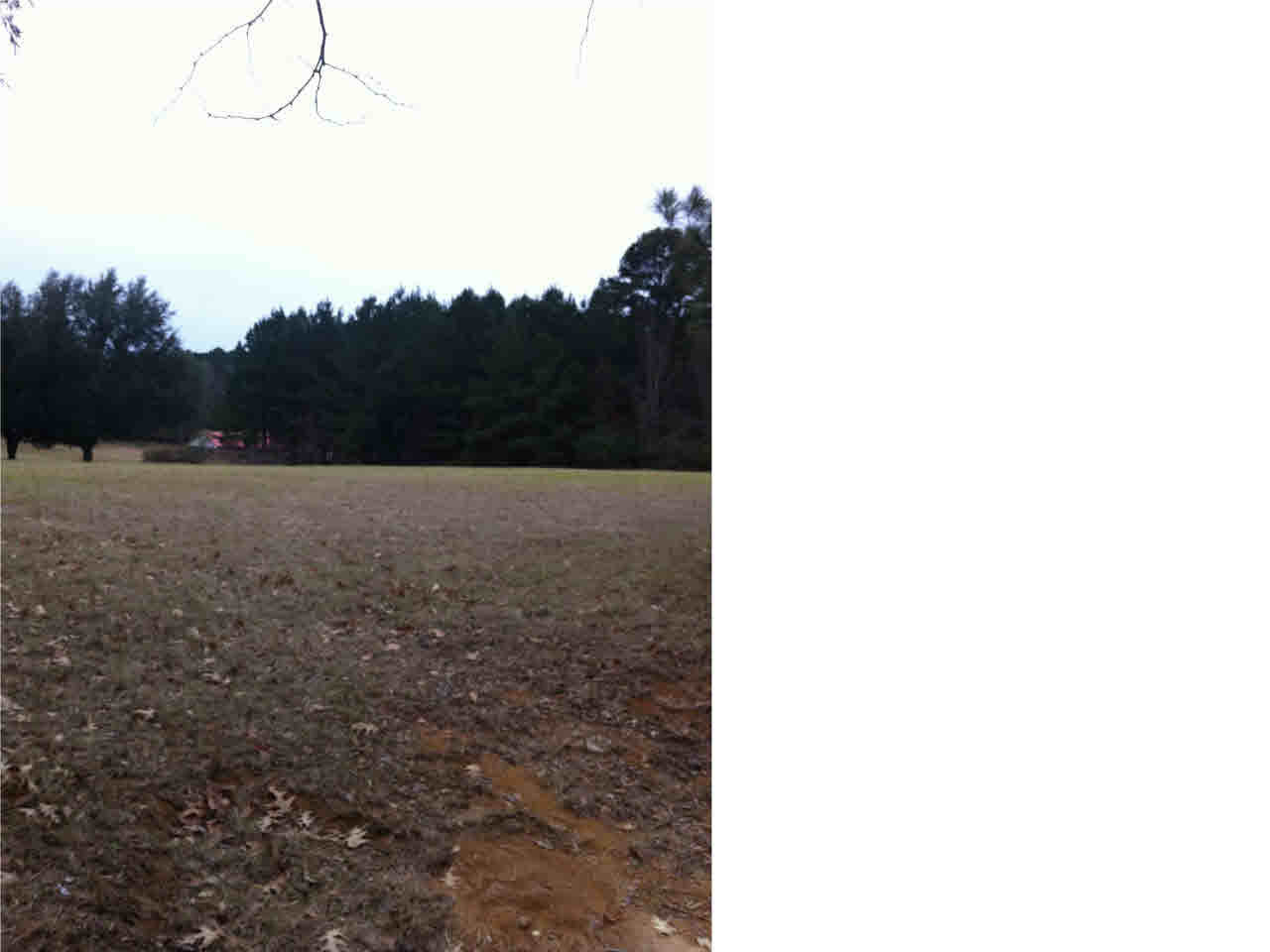 5 South Mcraven Road, Unit 5 Jackson, MS 39209 - Photo 1 of 1 Photo 1