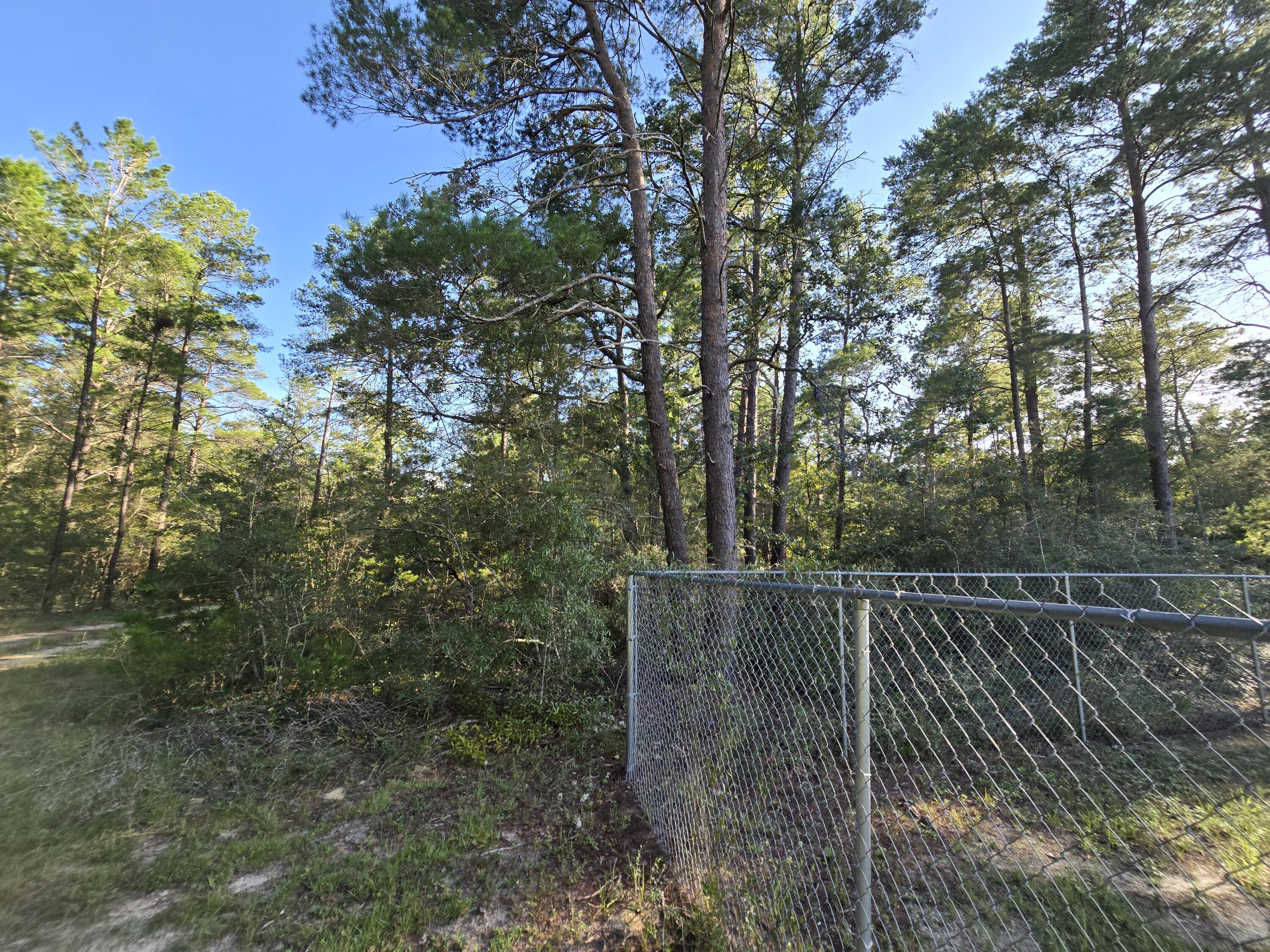 Tbd Randi Road Crestview, FL 32539 - Photo 6 of 10 1000131289