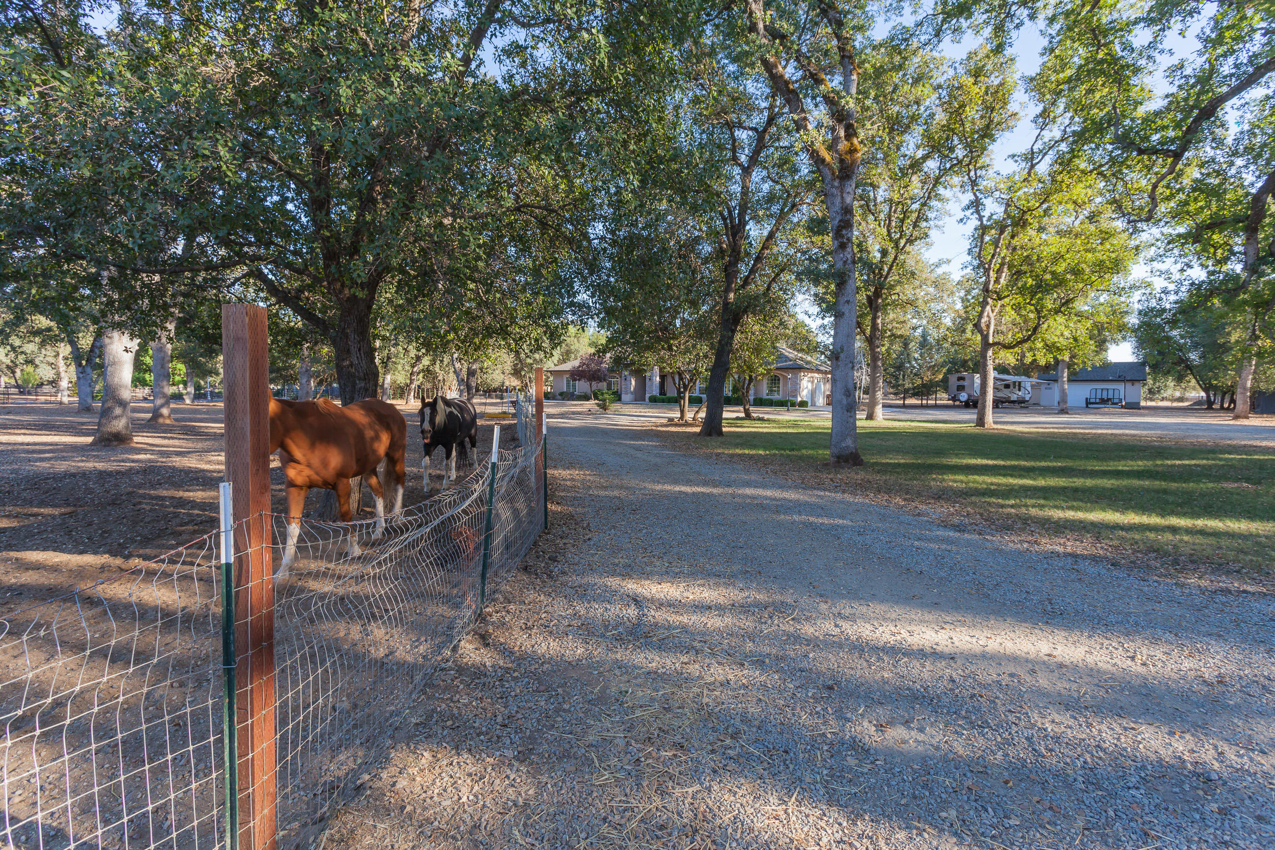 16635 Gas Point Road Cottonwood, CA 96022 - Photo 3 of 40 16635GasPointRd-MLS-5