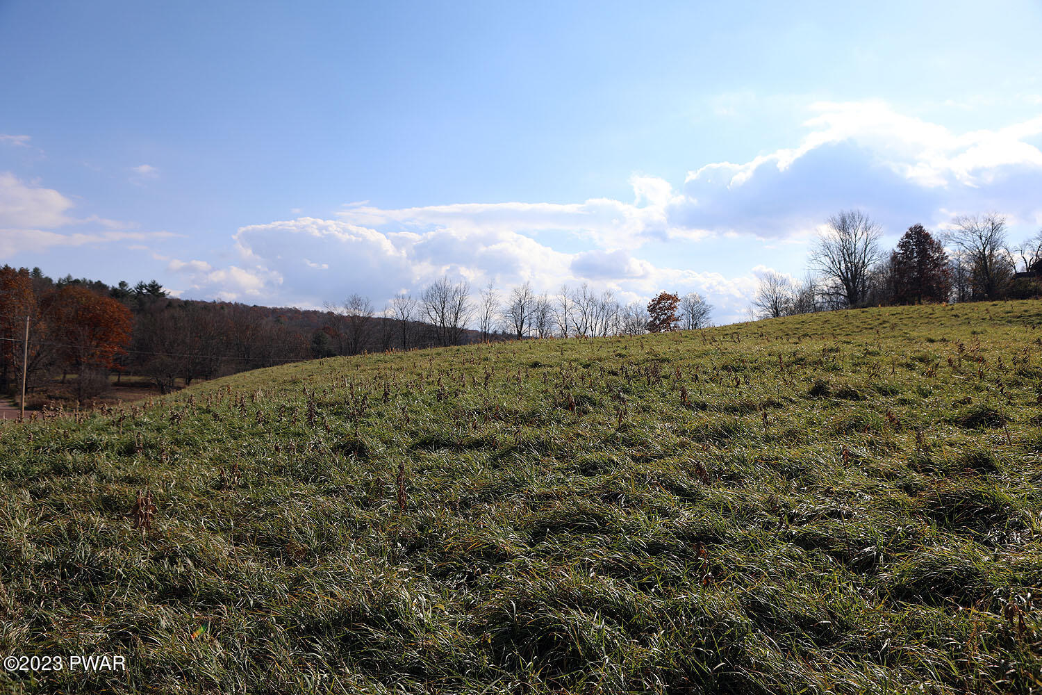 0 Marks Road Damascus, PA 18415 - Photo 21 of 33