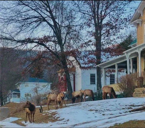 $374,900 | 7227 3rd Street, Driftwood, PA 15832