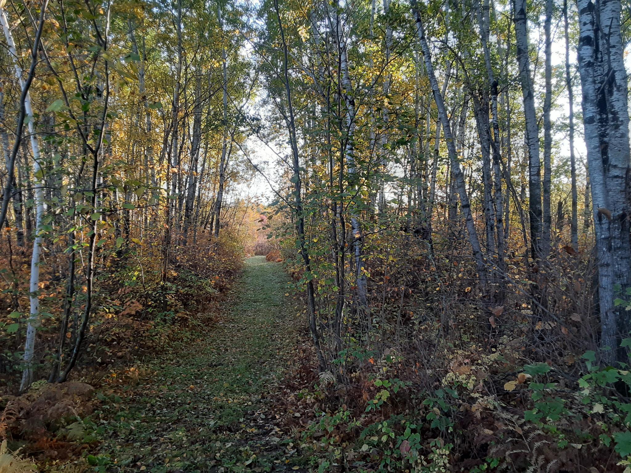 31538 County 23 Akeley, MN 56433 - Photo 26 of 71