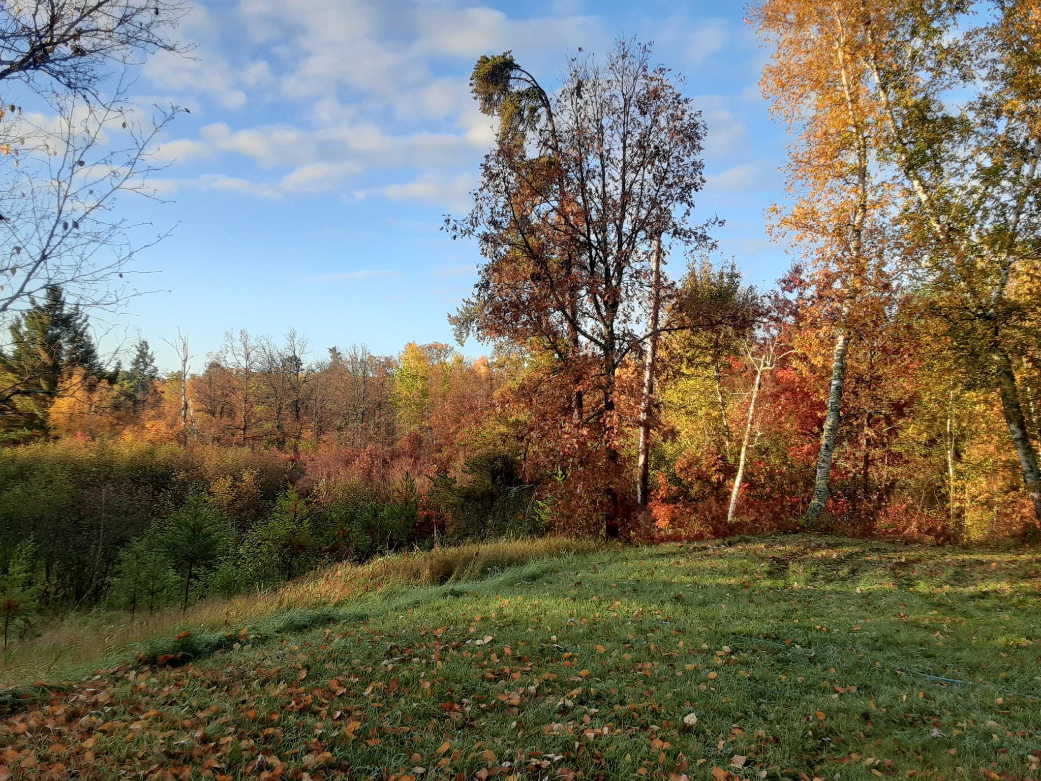 31538 County 23 Akeley, MN 56433 - Photo 31 of 71