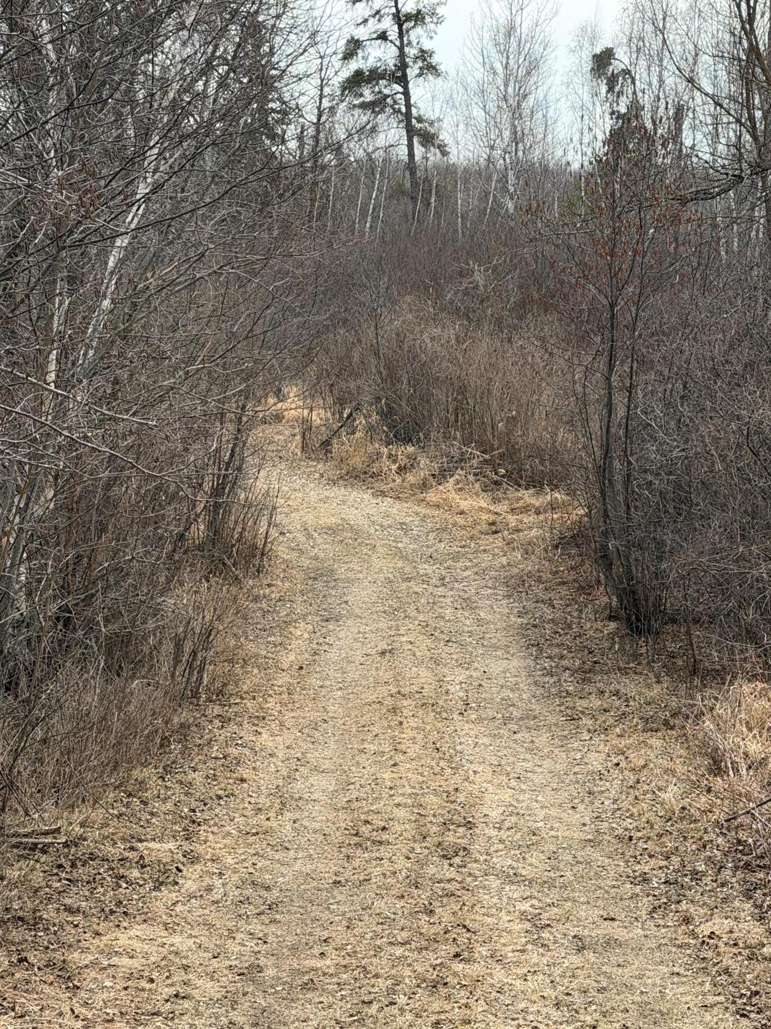 31538 County 23 Akeley, MN 56433 - Photo 44 of 71