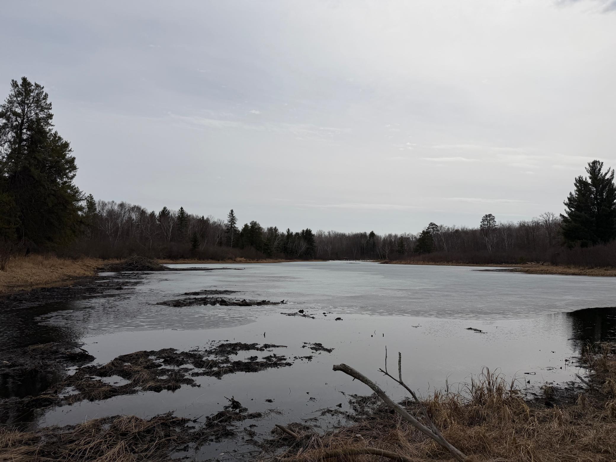 31538 County 23 Akeley, MN 56433 - Photo 49 of 71