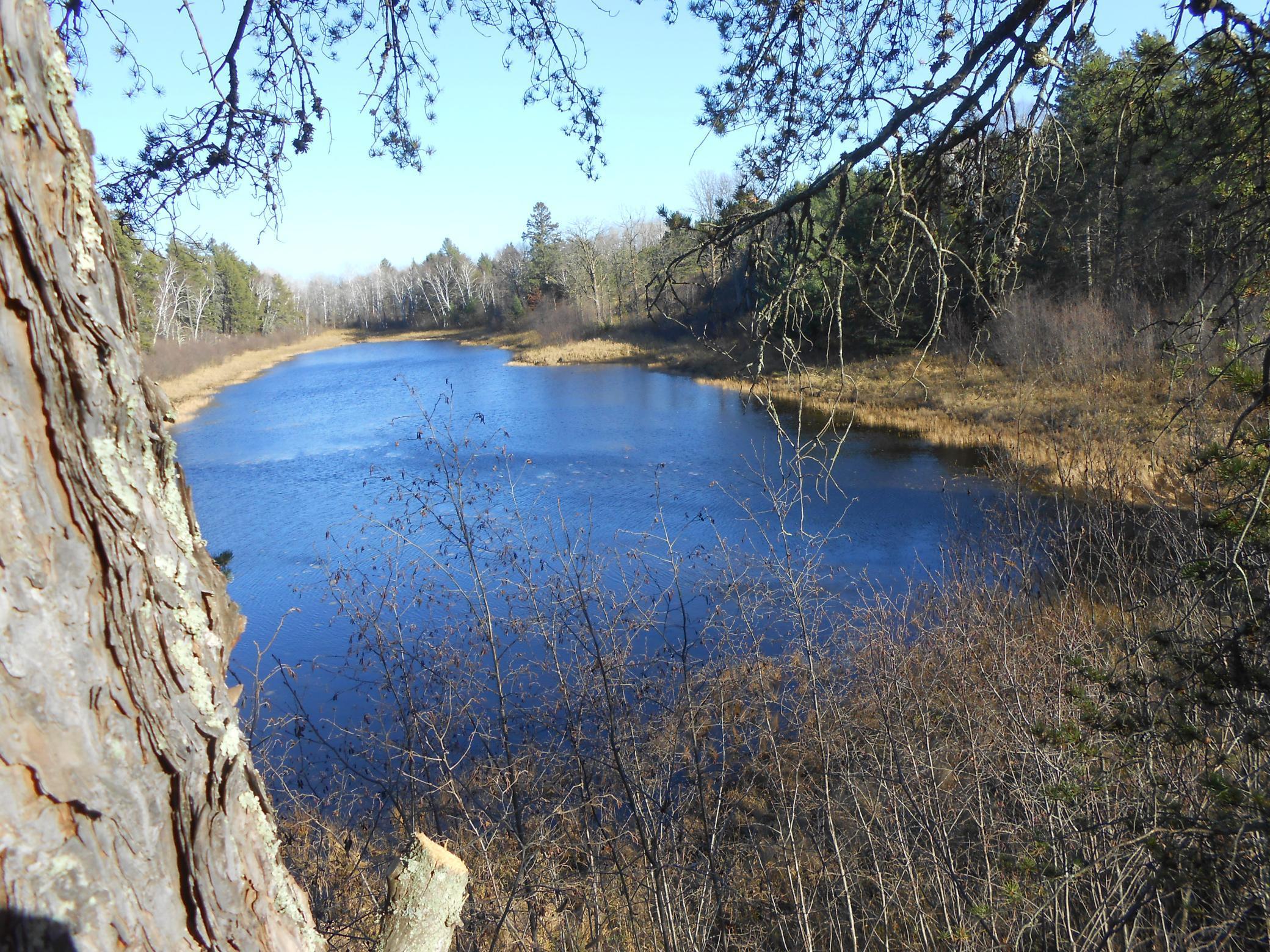 31538 County 23 Akeley, MN 56433 - Photo 58 of 71
