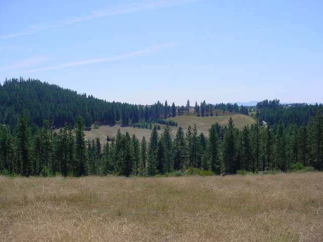 0 North Forker Road Spokane, WA 99217 - Photo 1 of 9