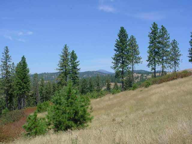 0 North Forker Road Spokane, WA 99217 - Photo 3 of 9