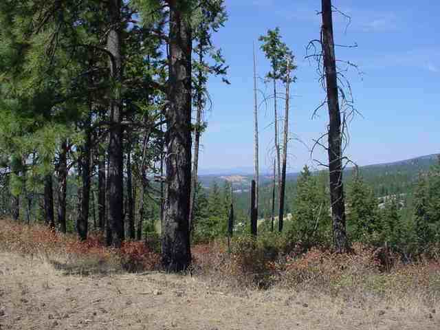 0 North Forker Road Spokane, WA 99217 - Photo 4 of 9