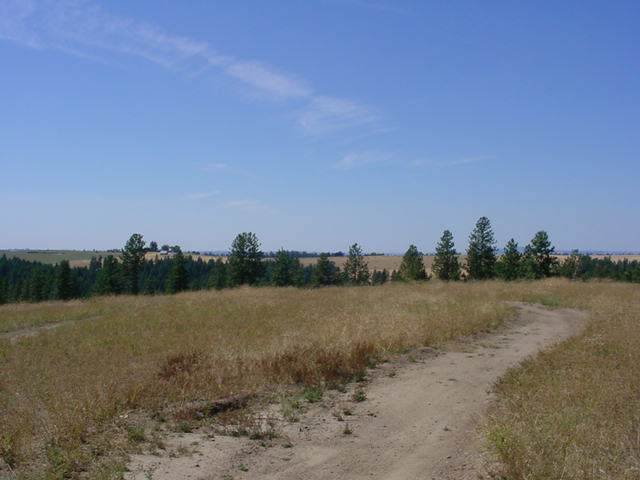 0 North Forker Road Spokane, WA 99217 - Photo 5 of 9