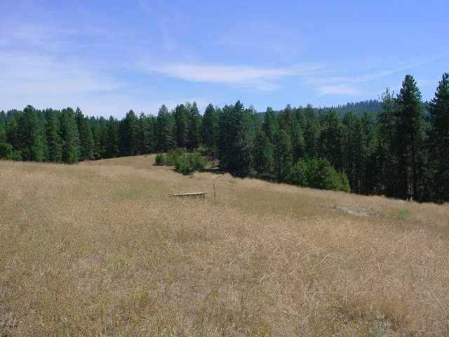 0 North Forker Road Spokane, WA 99217 - Photo 6 of 9