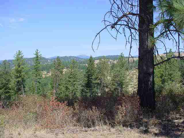 0 North Forker Road Spokane, WA 99217 - Photo 7 of 9