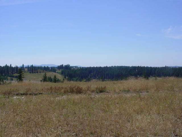 0 North Forker Road Spokane, WA 99217 - Photo 8 of 9