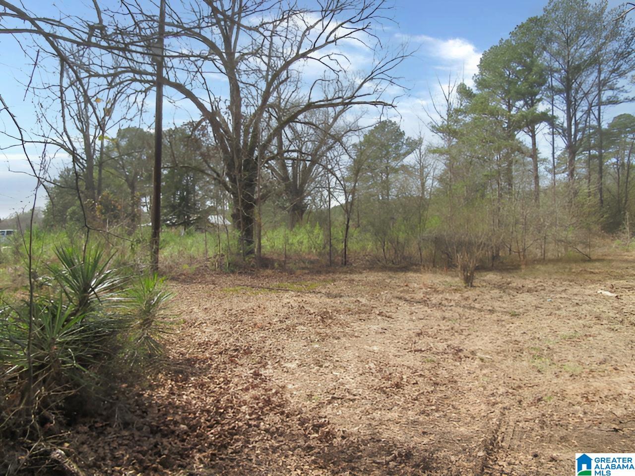4429 Roy Webb Road Jacksonville, AL 36265 - Photo 15 of 26